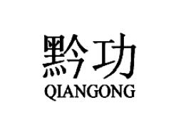 黔功QIANGONG